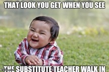 Sub teacher